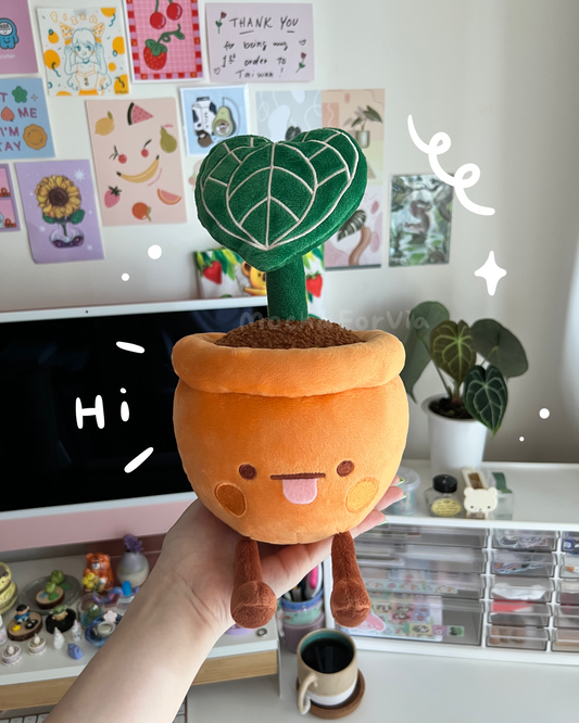 Anthurium Clarinervium Plushie